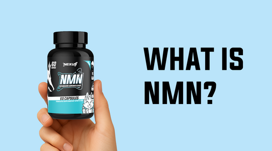 What Is NMN?
