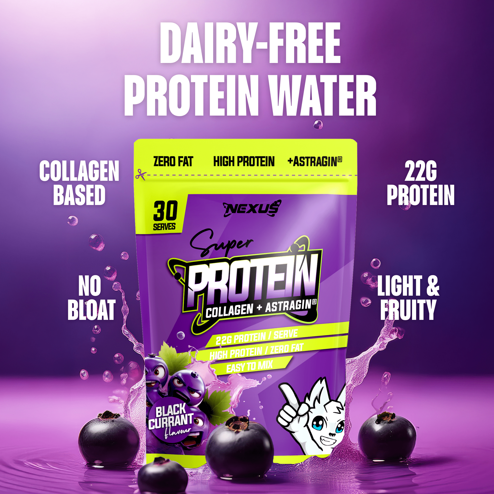 Protein Water - Blackcurrant
